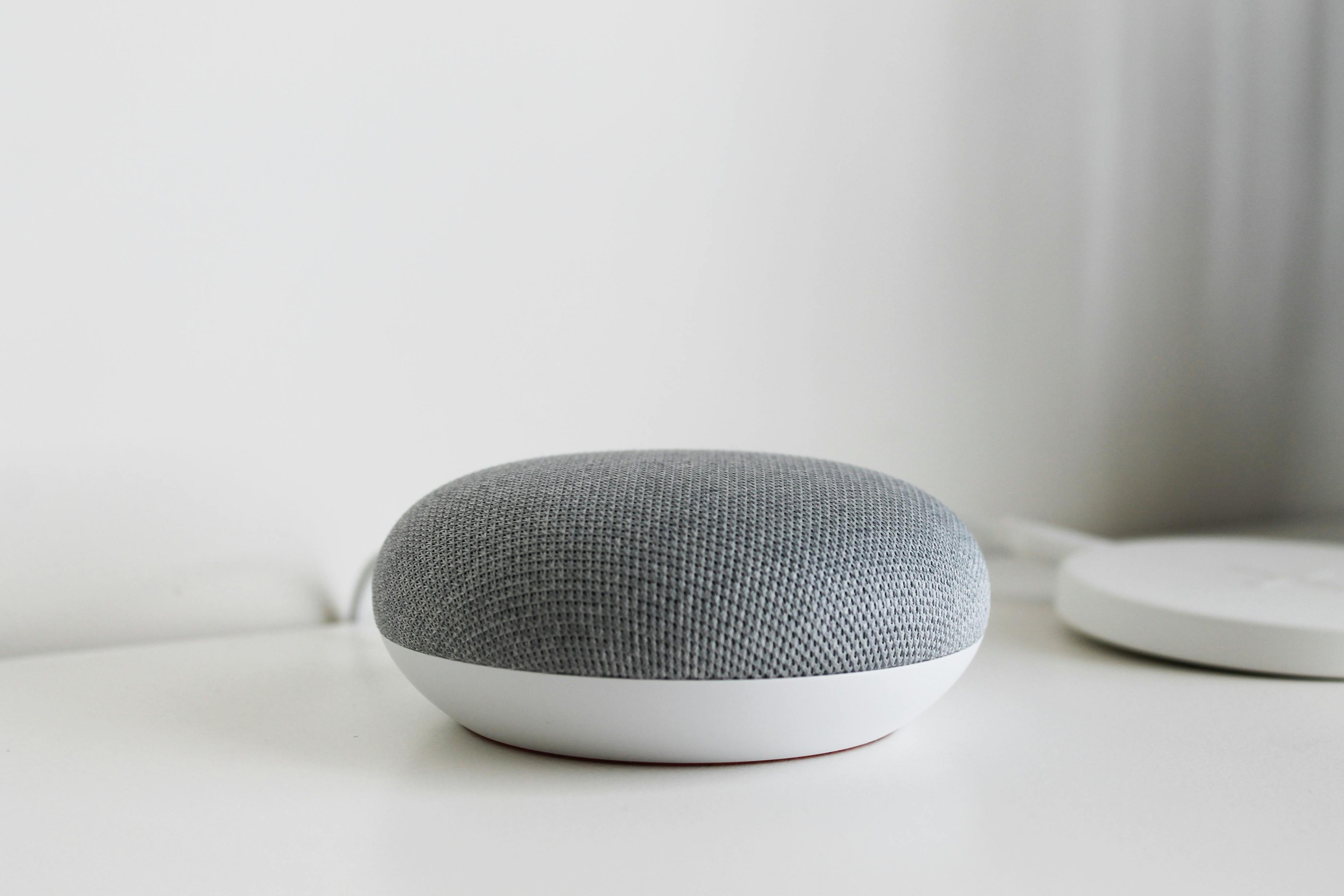 Google Nest Mini 2nd Generation Smart Speaker with Google Assistant
